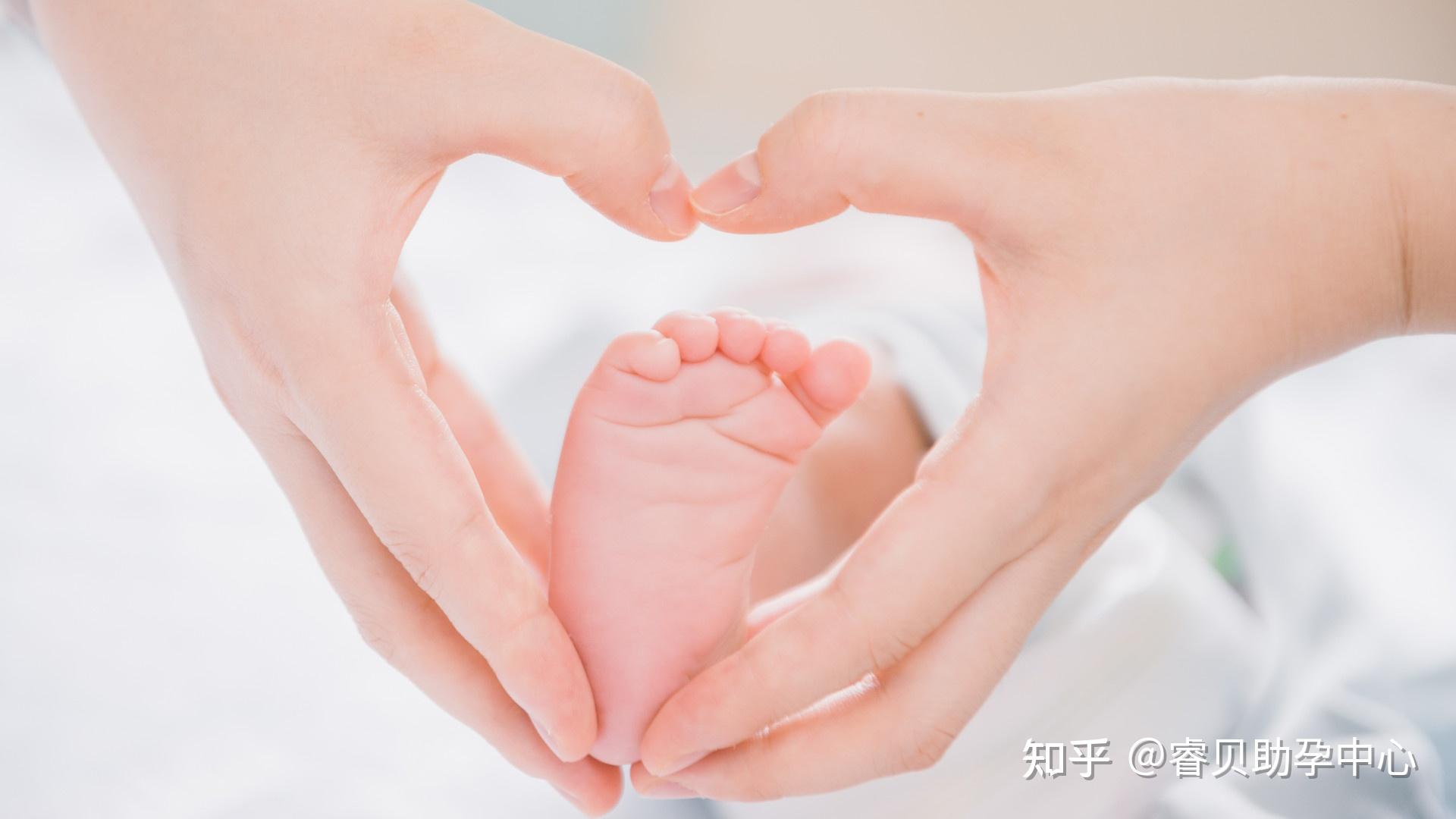长胎最快的水果