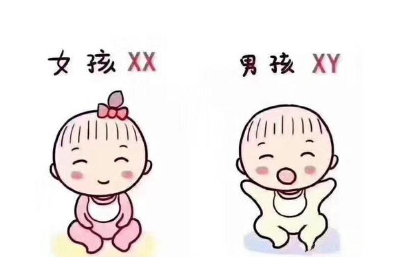 防辐射贴