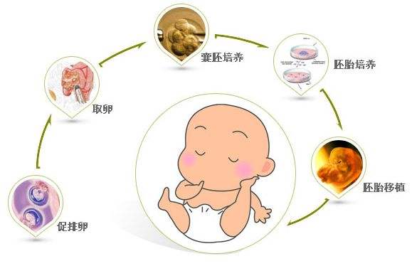 孕妇