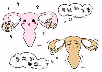 性生活频率