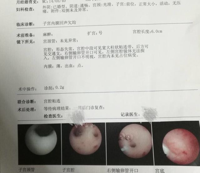 长胎最快的水果